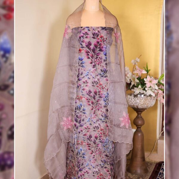 Pure Organza Hand-Painted Suit with Embroidered Detailing